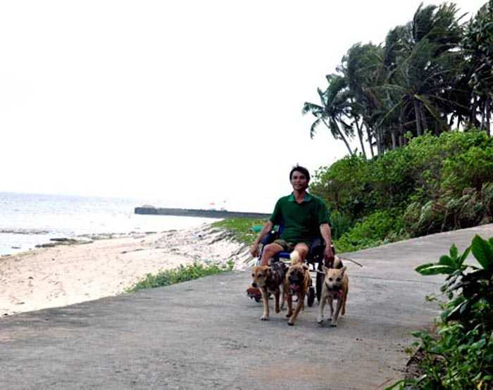 huấn luyện những chú chó kéo xe lăn