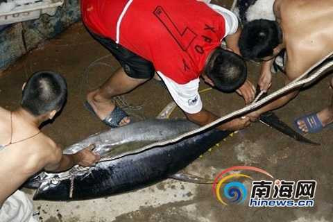 tàu cá trung quốc