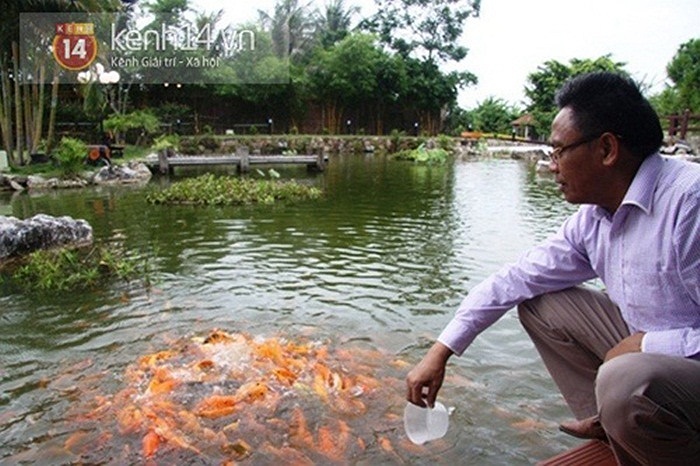 Chủ nhân của nó đã bỏ tiền để tạo một quả đồi trong khuôn viên để tạo điểm nhấn; hồ cá cảnh; khu vực trồng tùng, cây cảnh, hòn non bộ xen kẽ.