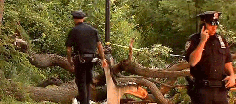 Hiện trường xảy ra vụ tai nạn