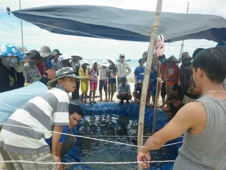 Cá ông được người dân làm bể chăm sóc đặc biệt ngay tại bờ biển.