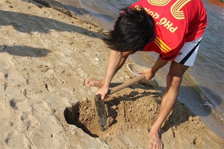 Người dân Quảng Ngãi đổ xô đi săn 'thần dược'.