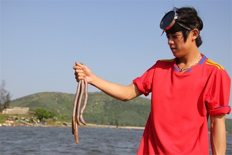 Ngoài công dụng bổ thận, cường dương thì trùn biển còn được xem như một 'thần dược' diệu kỳ, mang lại may mắn cho những trường hợp hiếm muộn.