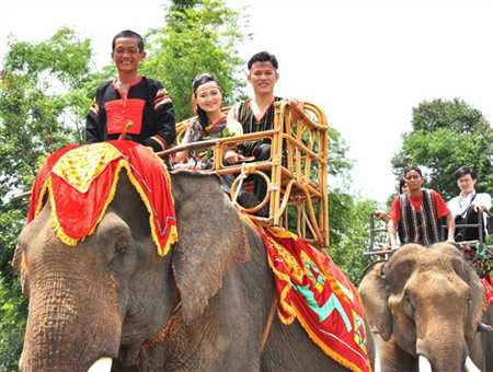 Đám cưới độc với 20 voi nhà rước dâu