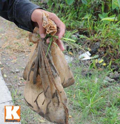 Số đỉa này sẽ được đem bán cho thương lái với giá 600 - 700 nghìn đồng/kg.