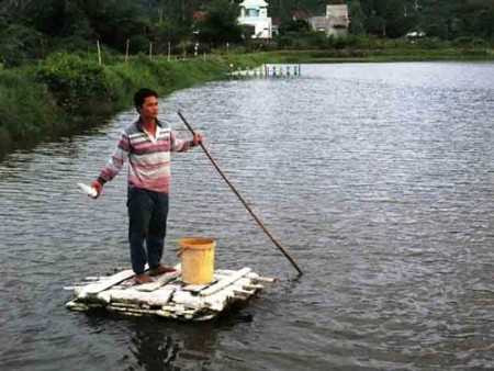 Tốt nghiệp ĐH ngành tài chính kế toán nhưng 5 năm xin việc không được, anh Huỳnh Thanh Tú đành phụ cha nuôi tôm.