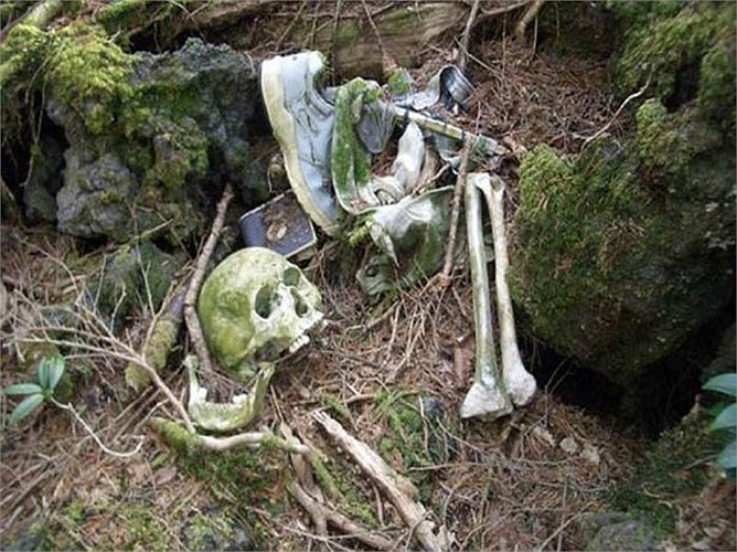 Rừng Aokigahara (Nhật Bản), là khu rừng có thảm thực vật đặc biệt, mọc ken dày. Khu rừng này nổi tiếng là nơi có nhiều vụ tự sát. Do đó, nó có tên là Rừng Tự Sát.