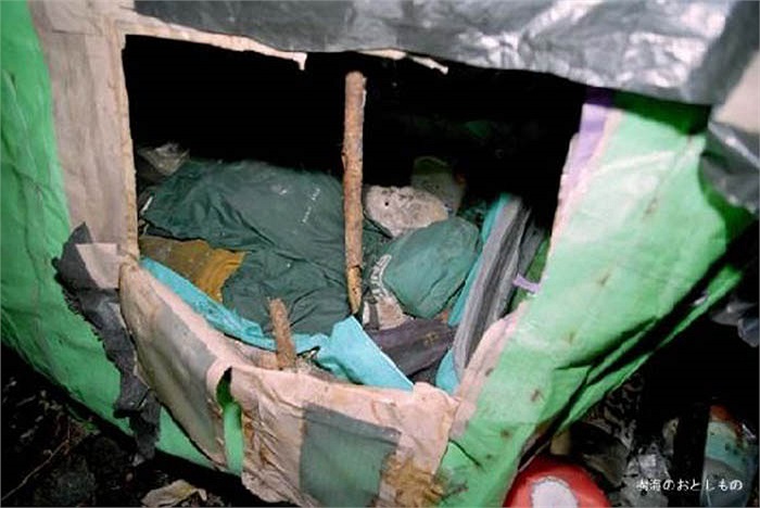 Đã có nhiều kỷ lục được ghi nhận về số vụ tự tử ở khu rừng này. Năm 1974 có tới 74 thi thể được phát hiện trong Rừng Tự Sát. Năm 2002, chính quyền tìm thấy 78 thi thể. Kỷ lục mới được lập vào năm 2003 với con số 100 người.