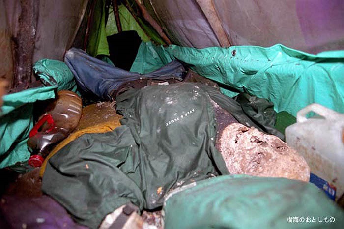 Cuốn sách Sổ Tay Tự Tử Toàn Diện Diện của Wataru Tsurumui xuất bản tại Nhật Bản được tìm thấy khắp nơi trong rừng, không xa những thòng lọng hoặc các xác chết của những người tìm tới Aokigahara để quyên sinh. Điều đó chứng tỏ cuốn sách này có tác độn