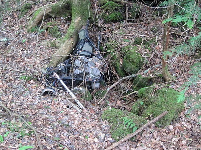 Chưa có vùng đất nào mà số lượng người tự tử nhiều như một khoảnh rừng trong khu Rừng Tự Sát.