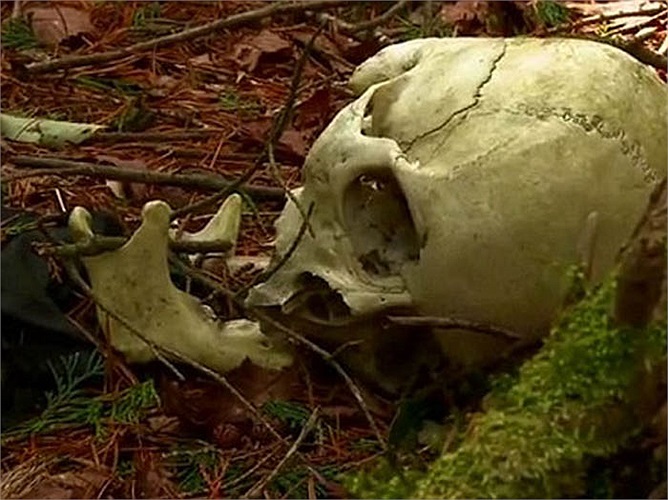 Số thi thể người tự tử ở khu rừng này ngày càng lấp đầy các tòa nhà do người dân địa phương xây dựng.