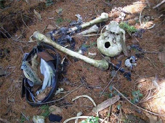 Tục lệ Ubasute từng được tranh cãi rất nhiều. Người cho là dã man, kẻ cho là nhân đạo. Vào những năm mất mùa, đói kém, dân làng sẽ đưa những người già, tàn tật vào trong rừng để họ chết một mình.