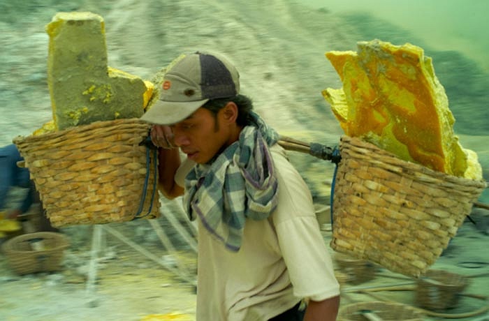 Đối với khách du lịch, cảnh tượng này có thể là một trải nghiệm thú vị trong chuyến đi của họ.