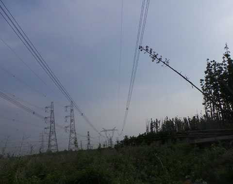 Sự cố mất điện toản miền Nam đã được phục hồi