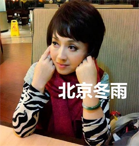 Hiện tại là Ngụy Tuệ Lệ đang là Hội viên Hội Điện ảnh Trung Quốc.