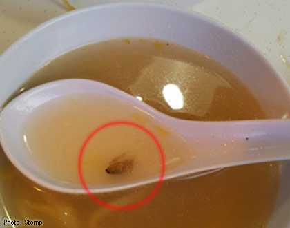 Con gián trong bát súp được chụp lại