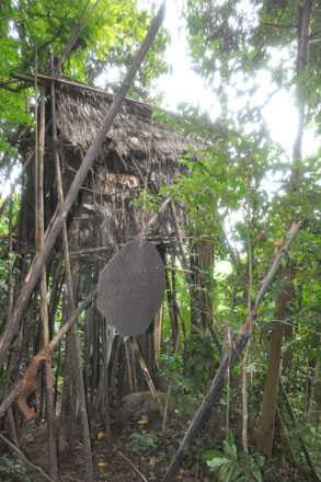 người rừng, người thân, linh cảm, giấc mơ thần kỳ, giấc mộng, còn sống, xem bói