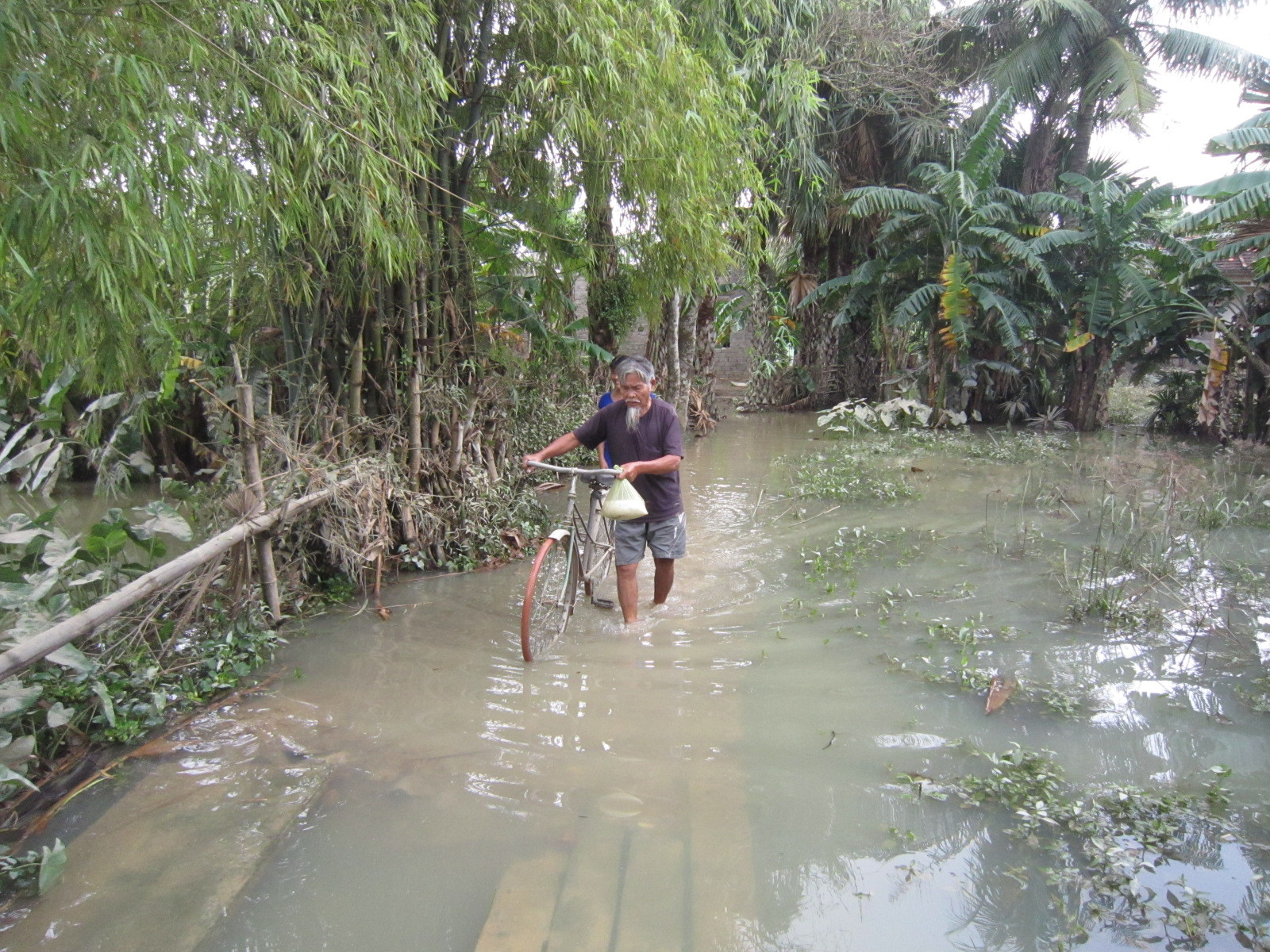 Nhiều khu dân cư ở huyện Tĩnh Gia (Thanh Hóa) vẫn còn ngập nhẹ.