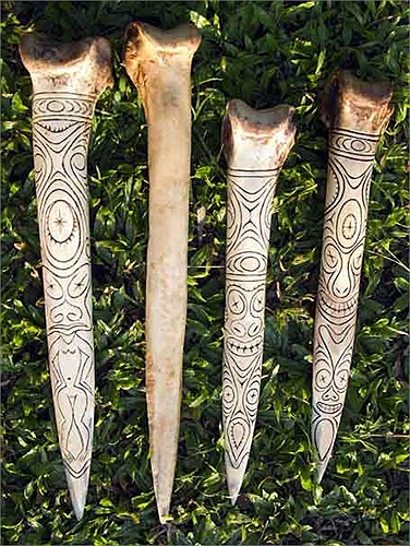 Chính vì thế, những chú chim con trong một lứa đẻ - ấp có thể cùng mẹ nhưng khác cha. 