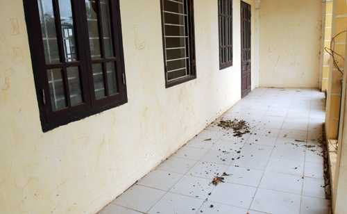 Giữa thủ đô, trường học biến thành chuồng bò