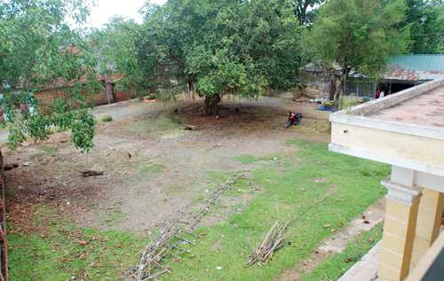 Giữa thủ đô, trường học biến thành chuồng bò