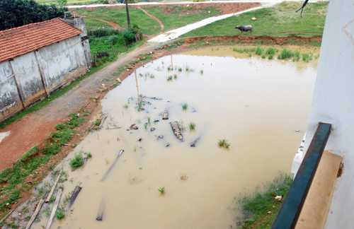 Giữa thủ đô, trường học biến thành chuồng bò