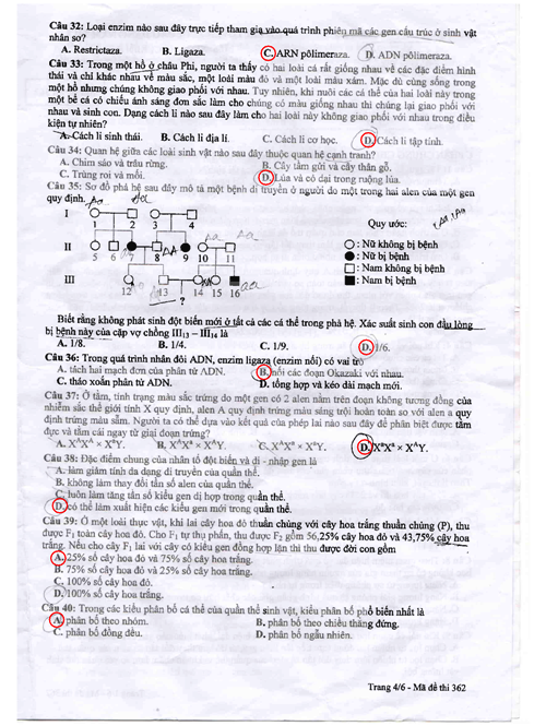 đáp án môn sinh học hệ cao đẳng