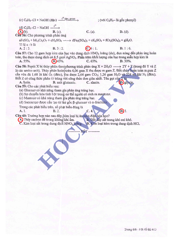 đề thi, đáp án môn Hóa, Tiếng Anh