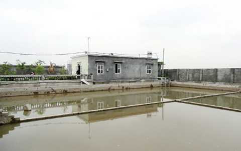 2 cháu bé, Trạm xử lý nước mini, Thủy Nguyên, Hải Phòng