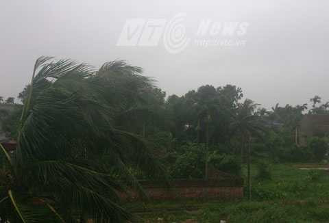 Bão số 2, Hải Phòng, Quảng Ninh, gió giật cấp 11, 12