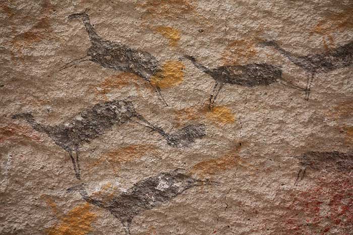 Ngoài các dấu bàn tay, trên vách hang cũng xuất hiện rất nhiều hình vẽ đơn giản về con người và muông thú.