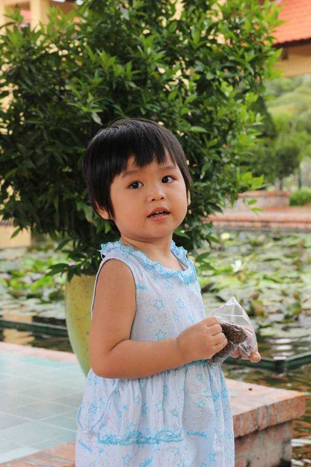 Bé Phạm Hà Minh.