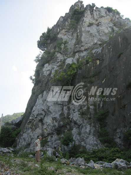 động xương người