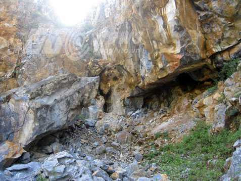 động xương người