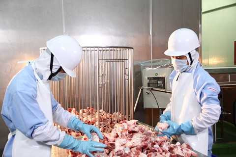 Ra mắt hạt nêm Aji-ngon cải tiến mới