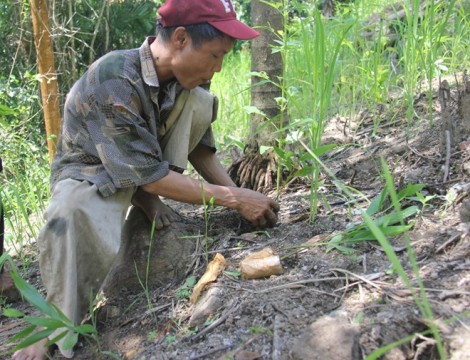 cha con người rừng