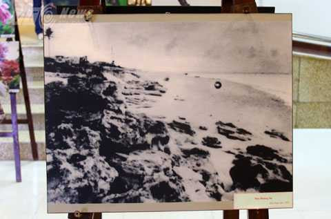 Hoàng Sa, triển lãm, đa dạng sinh học