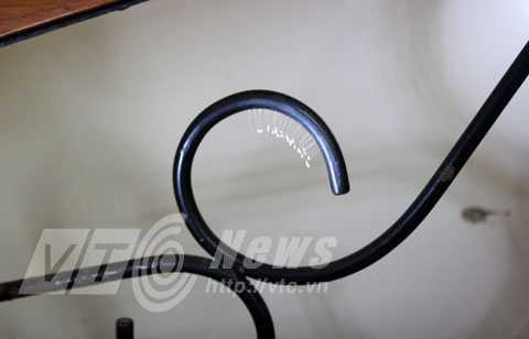 Đà Nẵng, hoa Ưu đàm, Hoa 3.000 năm mới nở