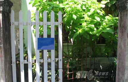 hoa ưu đàm mọc trên cổng