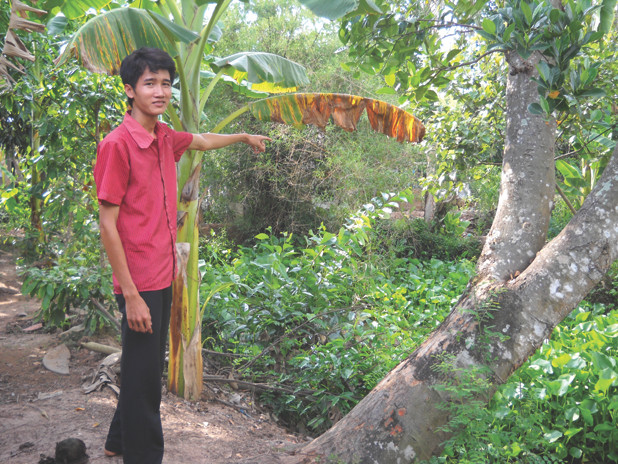 hoa hậu mỹ xuân, bán dâm nghìn đô, thân thế, hoa hậu bán dâm