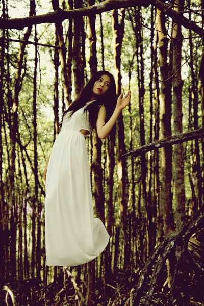 nguyễn thị mỹ hạnh