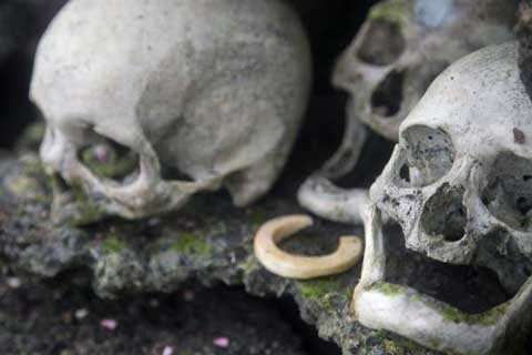 Đảo sọ người 