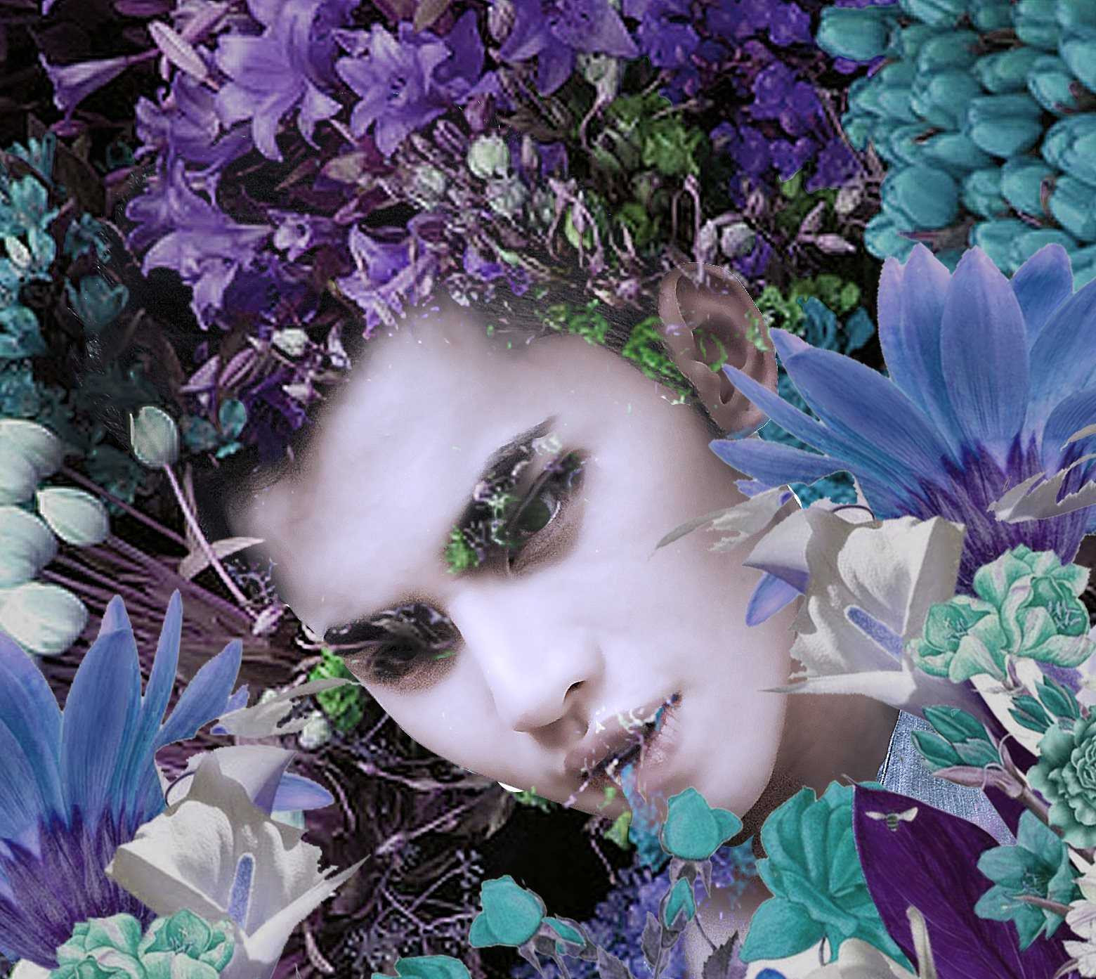 vietnam's next top model