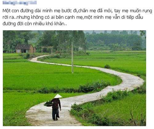 Cư dân mạng chào đón Ngày của mẹ