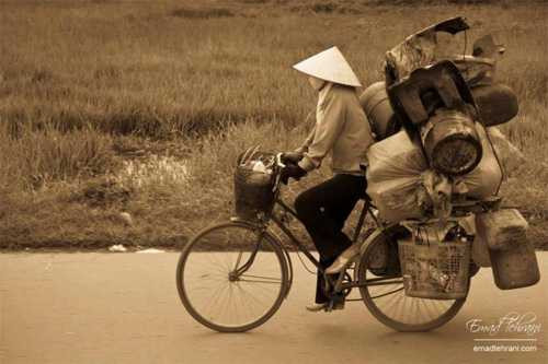 Cư dân mạng chào đón Ngày của mẹ