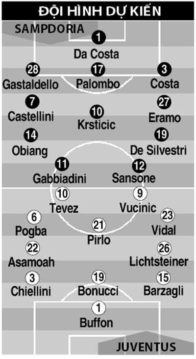 đội hình dự kiến