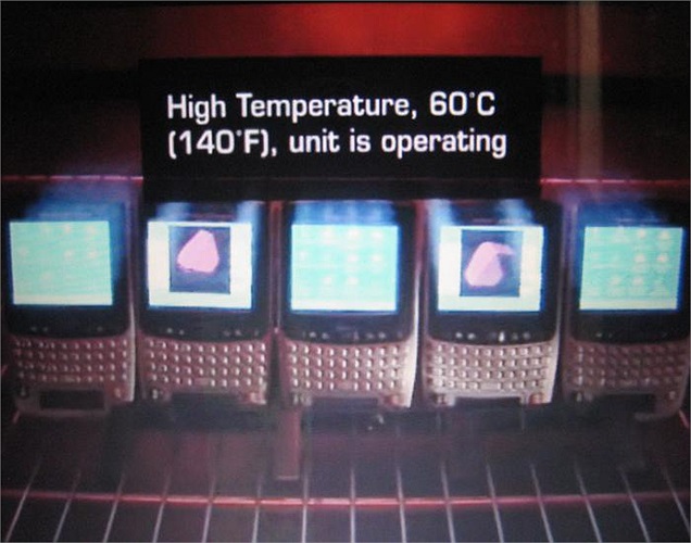 Dù là nhiệt độ cao lên tới 60 độ C...