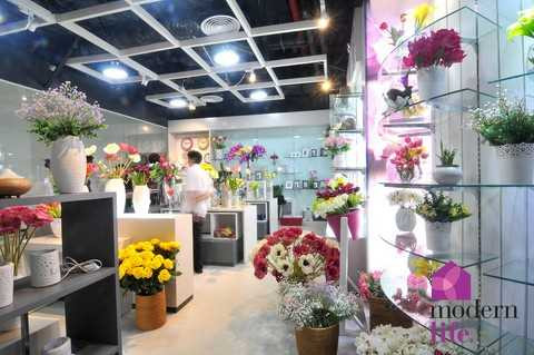 Khám phá thế giới đồ gia dụng hàng hiệu tại Modern Life