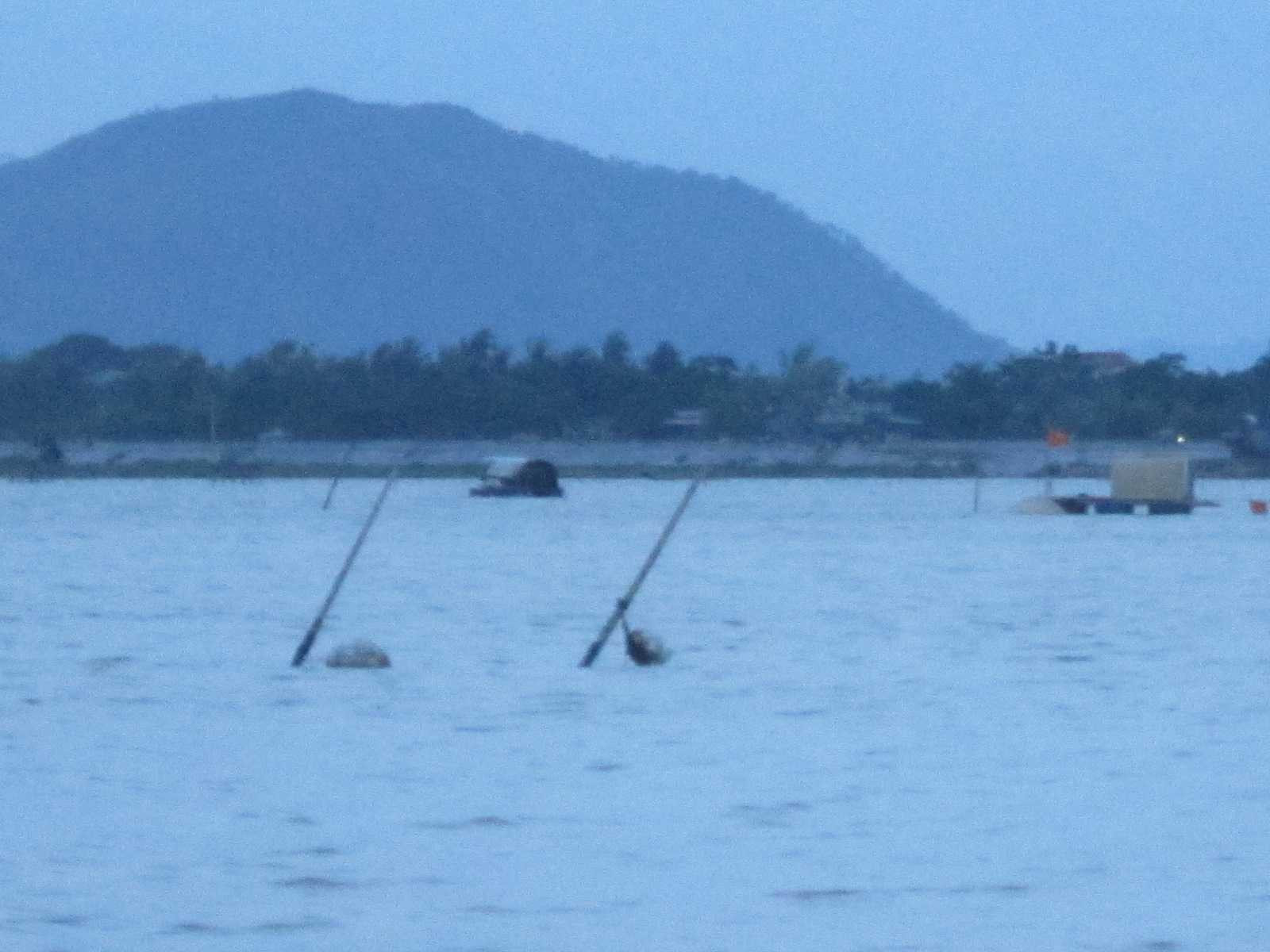 sông yên, dàn trận, bãi ngao, thanh hóa, thương vong