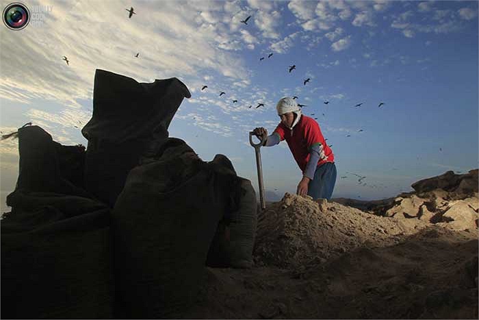 Mãi cho đến chiều tối, khi đàn chim quay về tổ của mình, những người đàn ông mới bắt đầu thu dọn để nghỉ ngơi.
